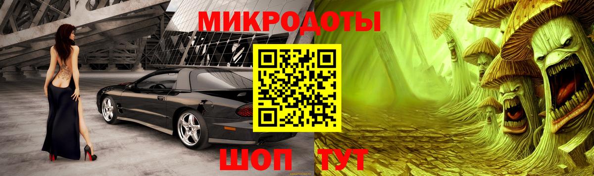 Галлюциногенные грибы Cubensis Ртищево